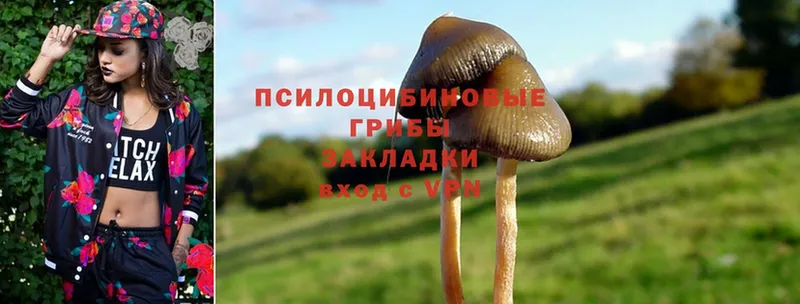 omg как войти  как найти закладки  Когалым  Псилоцибиновые грибы Psilocybine cubensis 