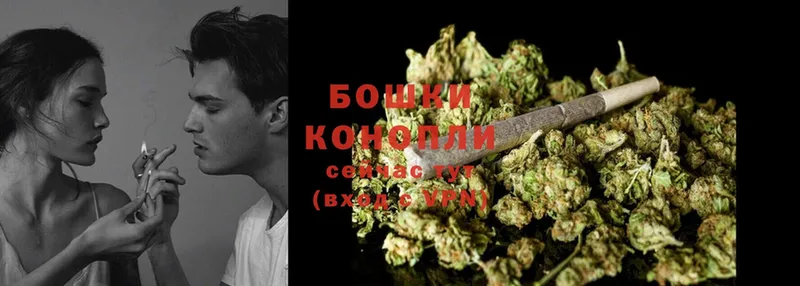 Шишки марихуана OG Kush  Когалым 